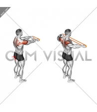 Resistance Band Rear Fly