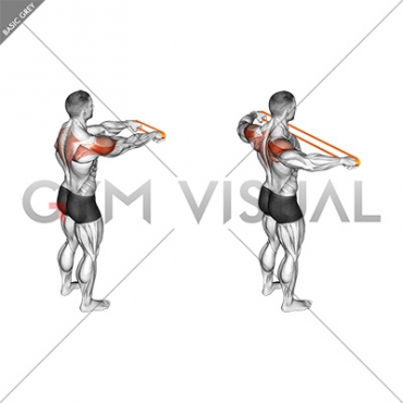 Resistance Band Rear Fly