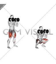 Dumbbell Front Squat