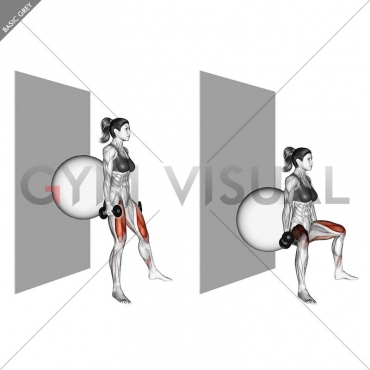 Dumbbell Sumo Squat (back on stability ball wall)