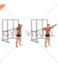 Band Alternate Incline Chest Press with Twist