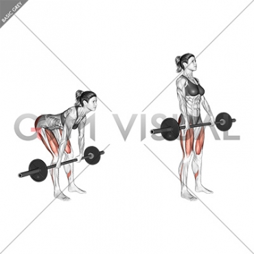 Barbell Romanian Deadlift (female)