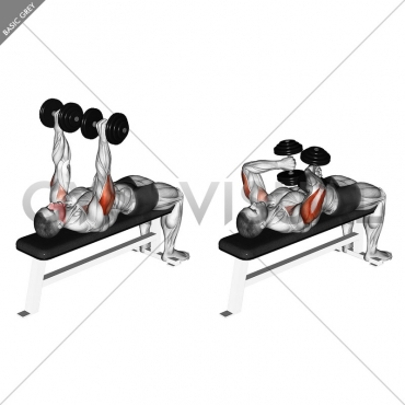 Dumbbell Tate Press