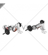 Barbell Glute Bridge (hands on bar) (female)