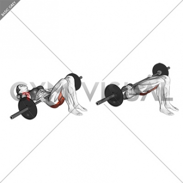 Barbell Glute Bridge (hands on bar) (female)