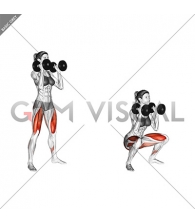 Dumbbell Front Squat (female)