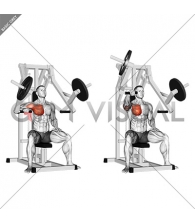 Lever One Arm Chest Press (plate loaded)
