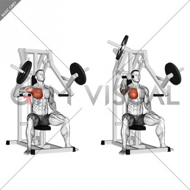 Lever One Arm Chest Press (plate loaded)