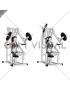 Lever One Arm Chest Press (plate loaded) (female)