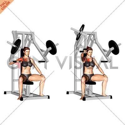 https://gymvisual.com/13294-thickbox_default/lever-one-arm-chest-press-plate-loaded-female.jpg