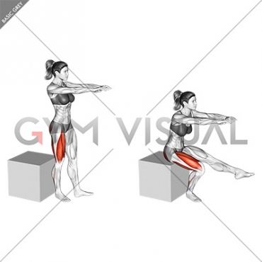 Pistol Squat to Box (female)