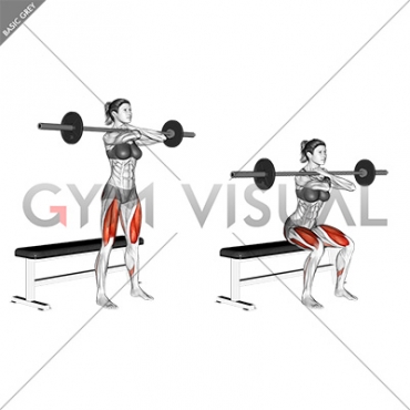 Barbell Bench Front Squat (female)