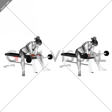 Barbell Reverse Wrist Curl (female)