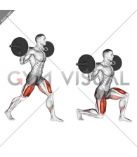 Barbell Split Squat