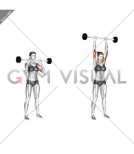 Barbell Standing Close Grip Military Press (female)