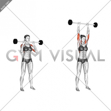 Barbell Standing Close Grip Military Press (female)