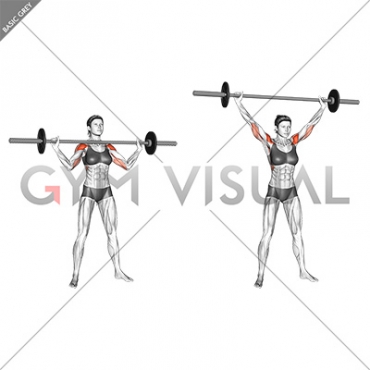 Barbell Standing Wide Military Press (female)