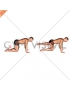 Bent Leg Side Kick (kneeling) (male)