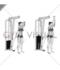 Cable Alternate Triceps Extension (female)