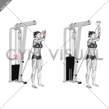 Cable Alternate Triceps Extension (female)