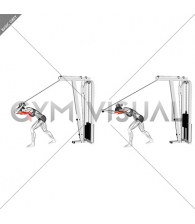 Cable Bar High Pulley Overhead Tricep Extension (female)