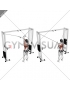 Cable Cross over Lateral Pulldown (female)