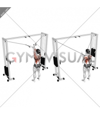 Cable Cross over Lateral Pulldown (female)