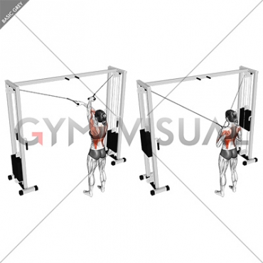 Cable Cross over Lateral Pulldown (female)