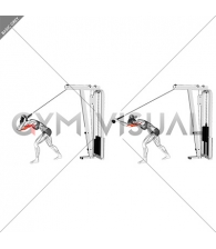 Cable High Pulley Overhead Tricep Extension (female)