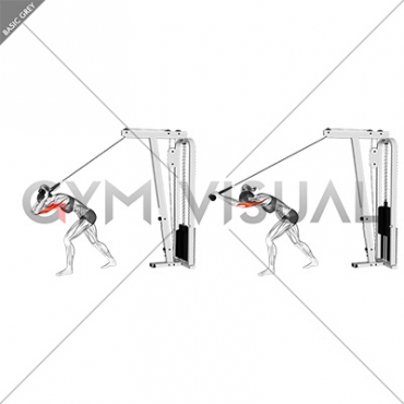 Cable High Pulley Overhead Tricep Extension (female)