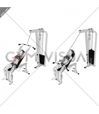 Cable Incline Pushdown (female)
