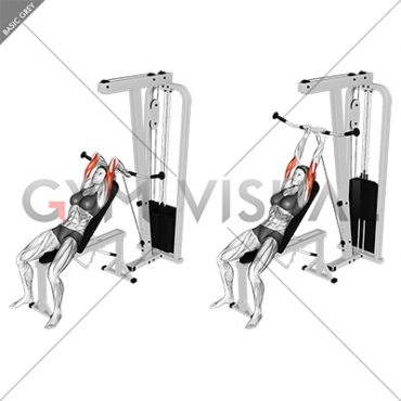 Cable Incline Triceps Extension (female)