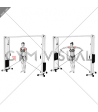 Cable Lateral Raise (female)