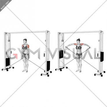 Cable Lateral Raise (female)