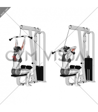 Cable Pulldown Bicep Curl (female)