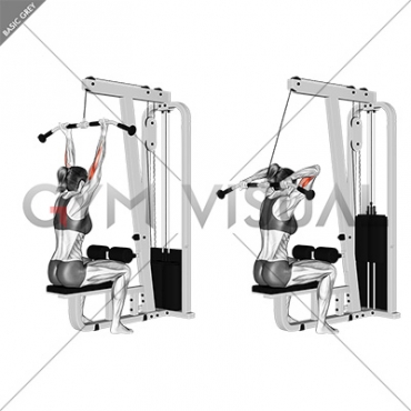 Cable Pulldown Bicep Curl (female)