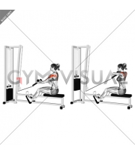 Cable Rear Delt Row (stirrups) (female)