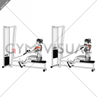 Cable Rear Delt Row (stirrups) (female)