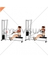 Cable Rear Delt Row (stirrups) (female)