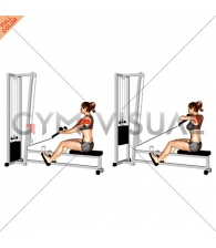 Cable Rear Delt Row (stirrups) (female)