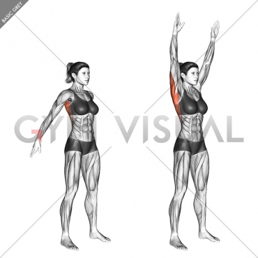 Dynamic Back Stretch