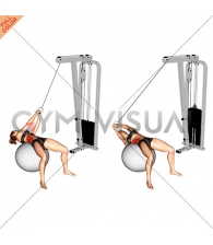Cable Russian Twists (on stability ball) (female)