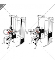 Cable Seated Chest Press (female)