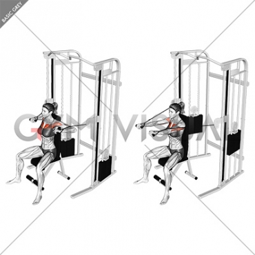 Cable Seated Chest Press (female)
