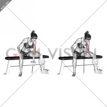 Cable Seated One Arm Concentration Curl (female)