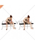 Cable Seated One Arm Concentration Curl (female)