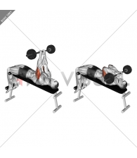 Barbell Decline Close Grip To Skull Press