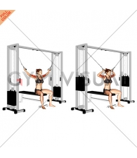 Cable Seated Overhead Curl (female)
