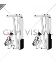 Cable Squatting Curl (female)