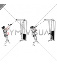 Cable Standing Biceps Curl (with rope) (female)
